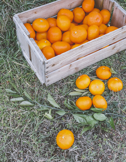 ���絵 ������ 4kg