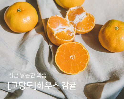 Ͽ콺.png